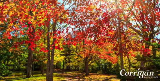 Kent County Fall Color Tour